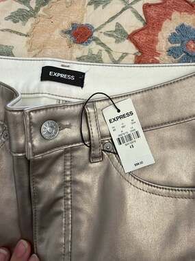 Express Faux Leather Pants Metallic Silver 4 Short